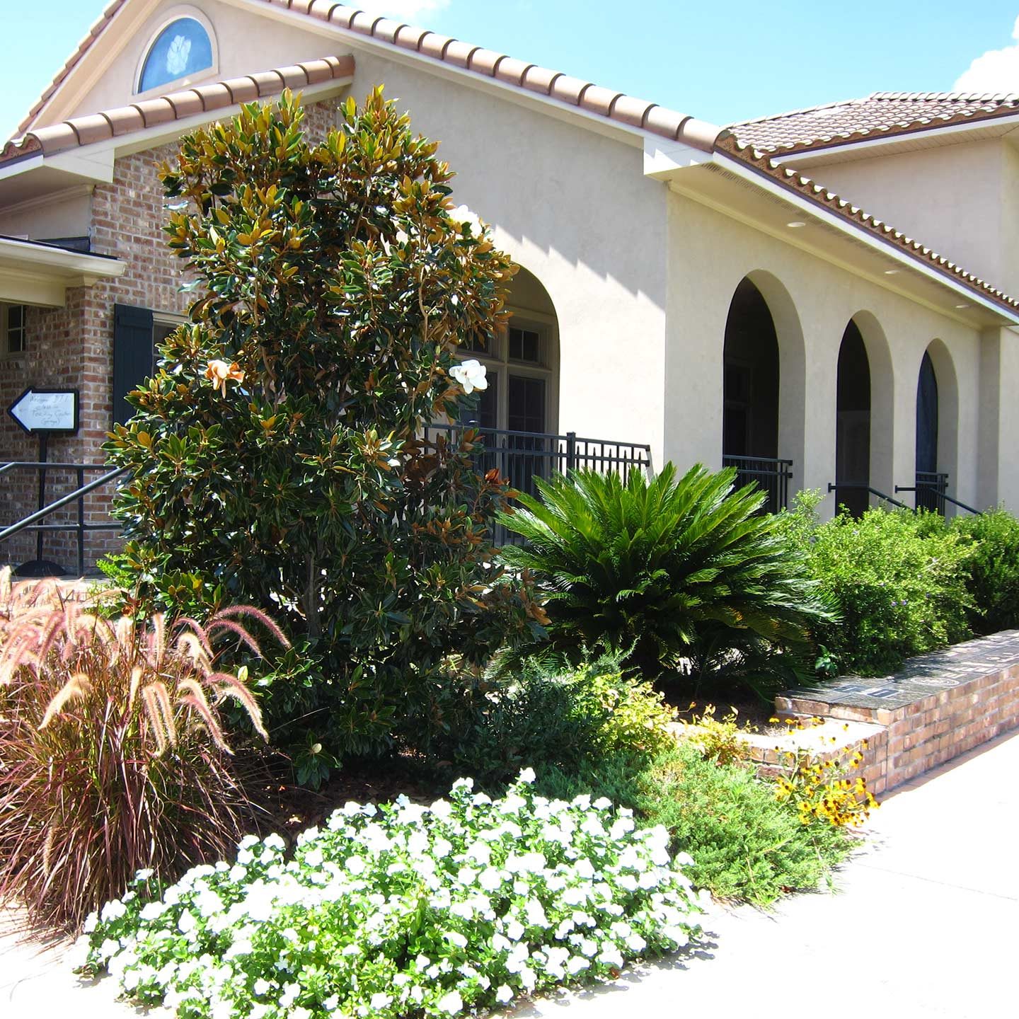 front of a house the scrubs and landscaping 